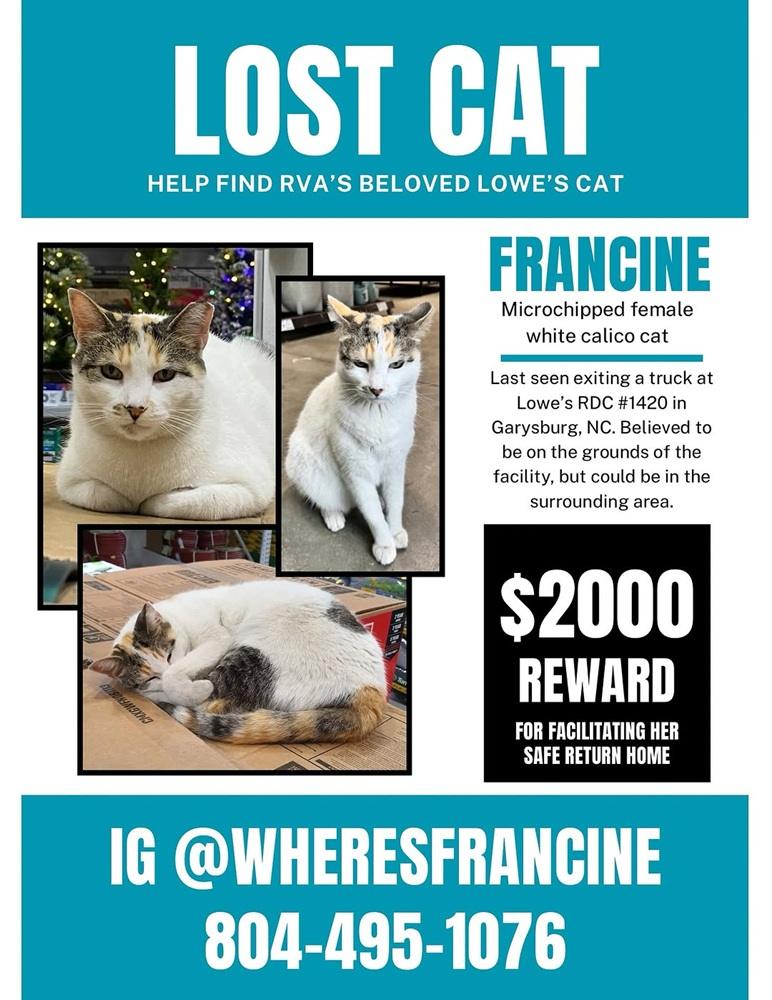 francine lost and found