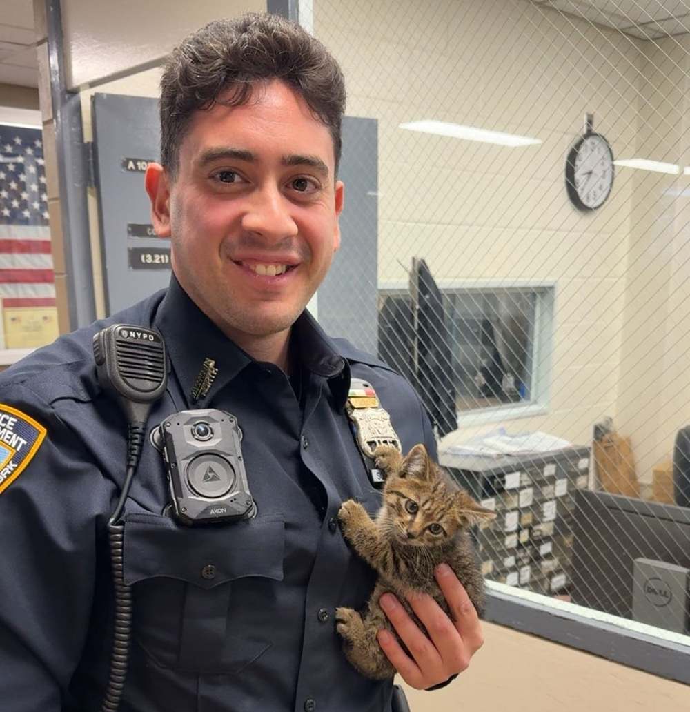 police and kitten