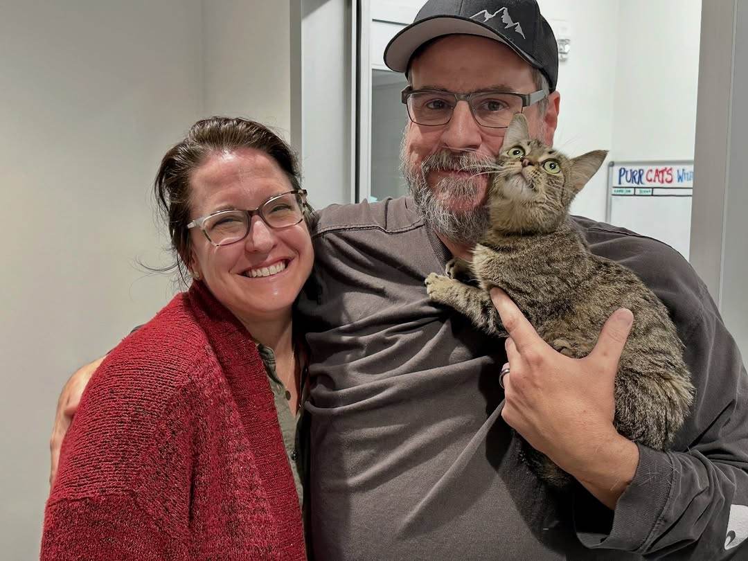 Microchips Work!Pepper, an 8-month-old spayed female brown tabby, was found on November 11 at 7
