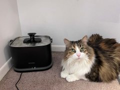 Petlibro Dockstream 2 smart cordless water fountain