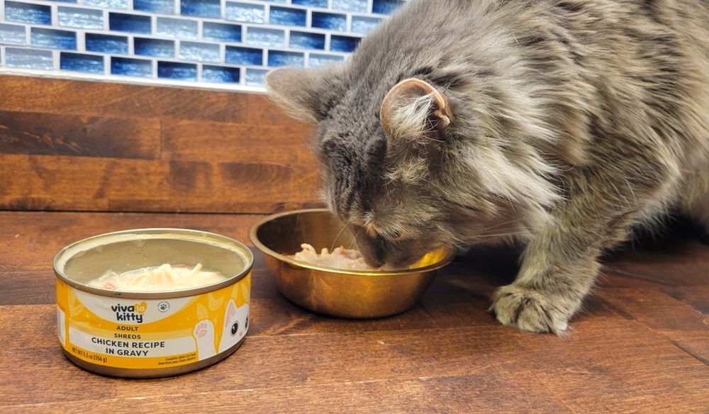 Viva La Kitty Chicken Recipe in Gravy Adult Wet Cat Food