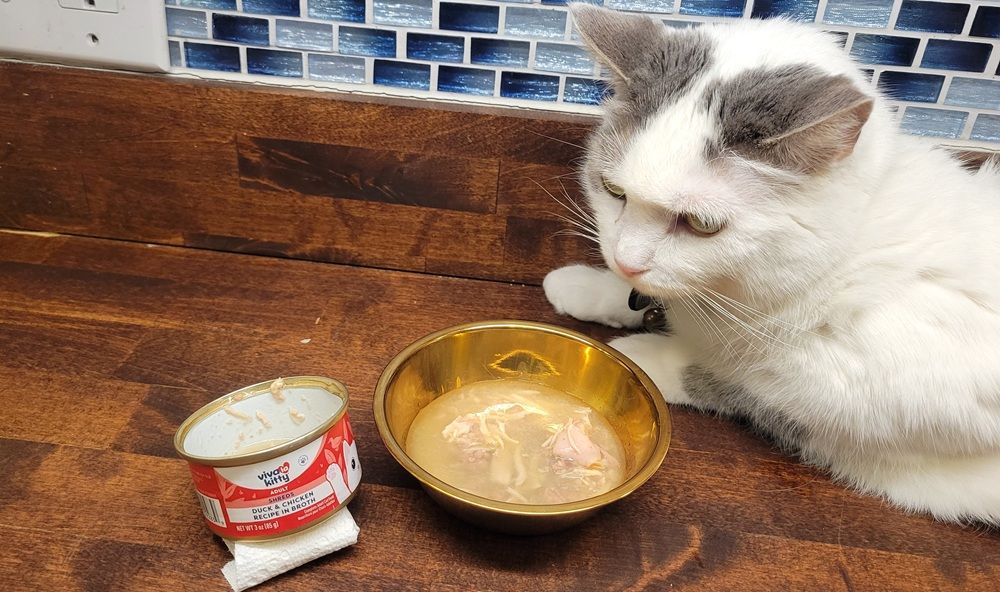 Viva La Kitty Duck & Chicken Recipe Shreds in Broth Adult Wet Cat Food