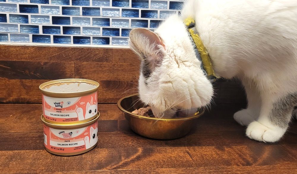 Viva La Kitty Salmon Recipe Pate Kitten Wet Food