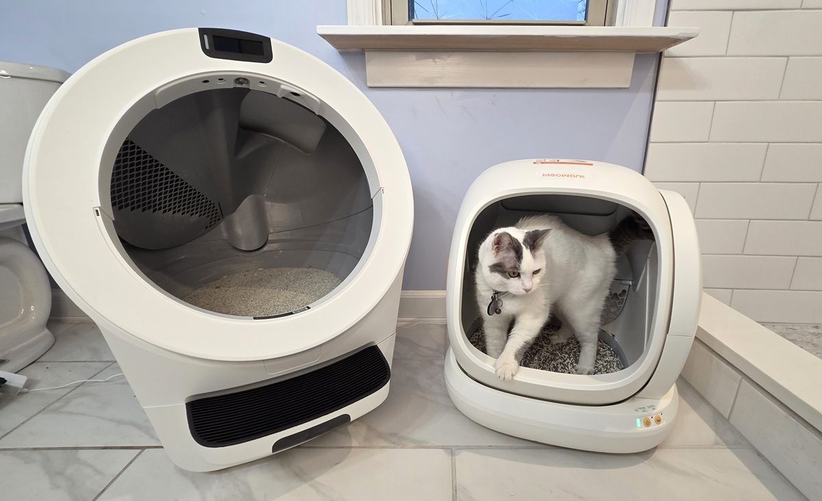 Litter-Robot 5 Versus Meowant