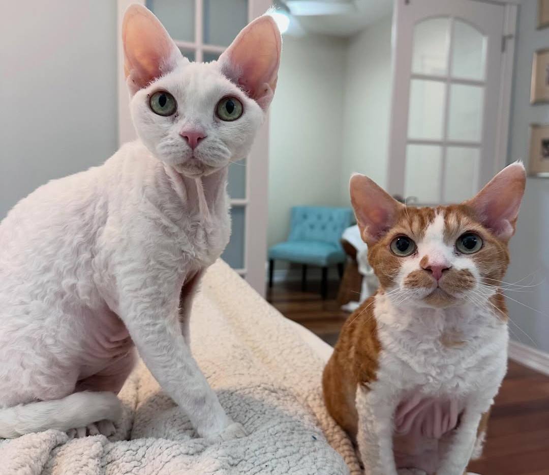 PJ and Reesa