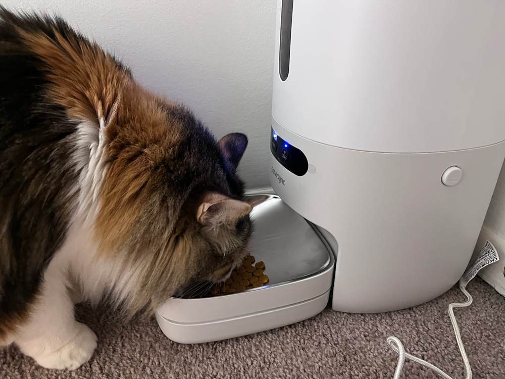 Pawsync-Automatic-Cat-Food-Feeder