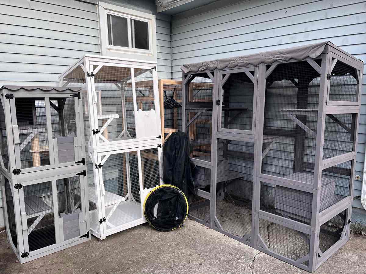 bes catios products