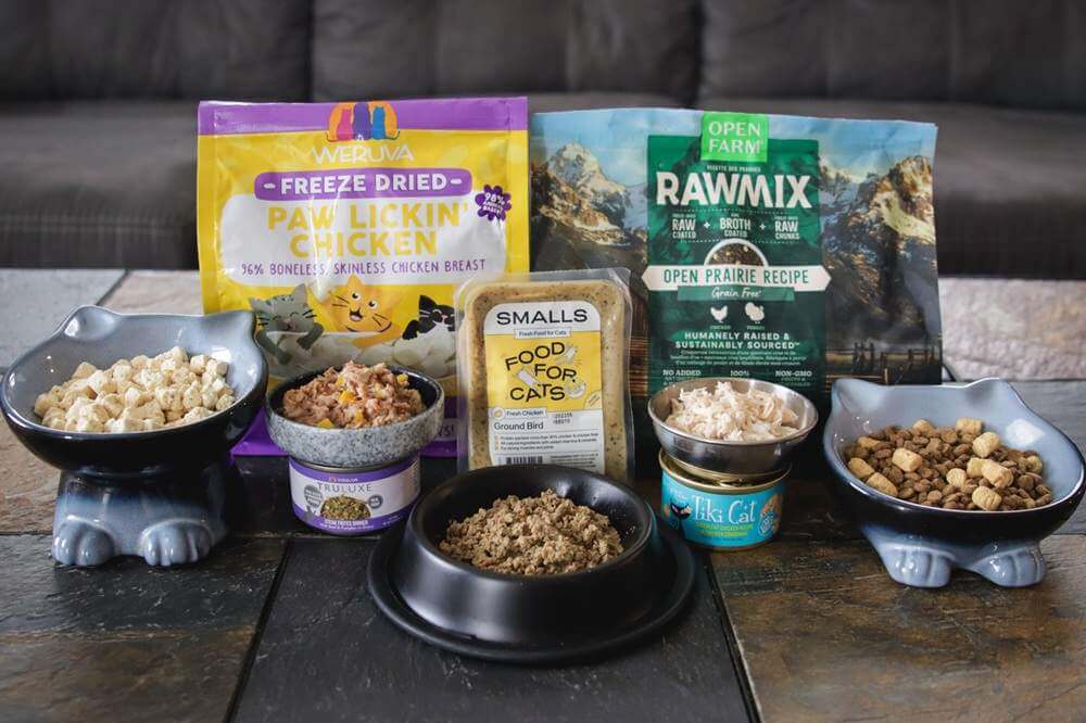 10 Best Cat Foods 2026 Approach Taste Test