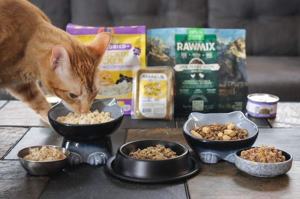 10 Best Cat Foods 2026 Approach Taste Test