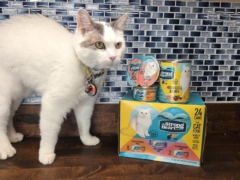 A Strong Heart Cat Food