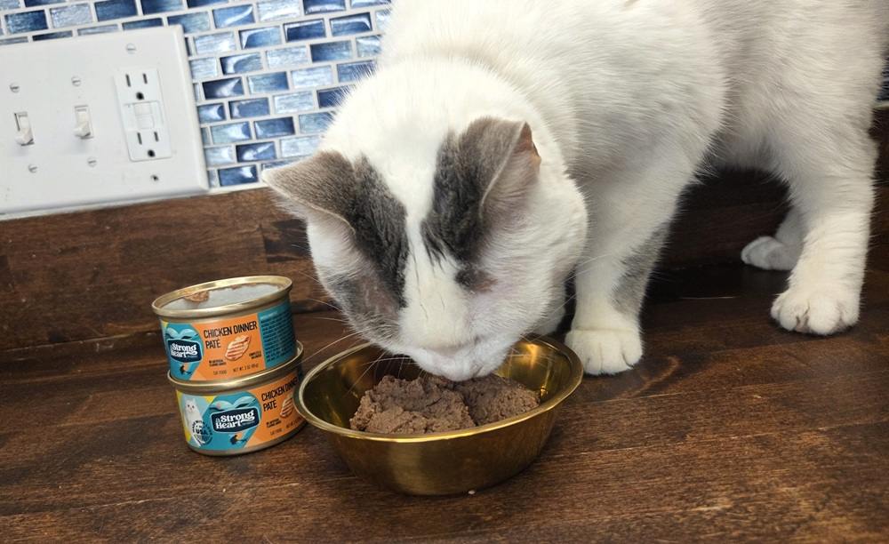 A Strong Heart Chicken Dinner Pate Wet Cat Food