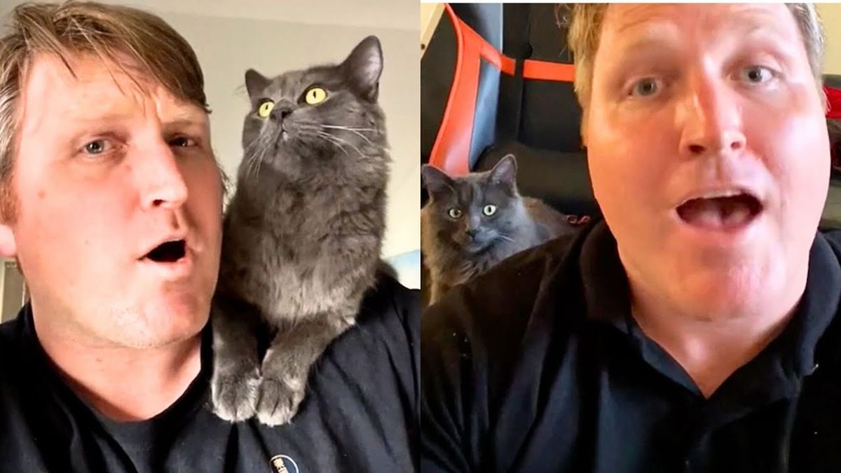 Alec Newman Taught Himself to Speak Cat!