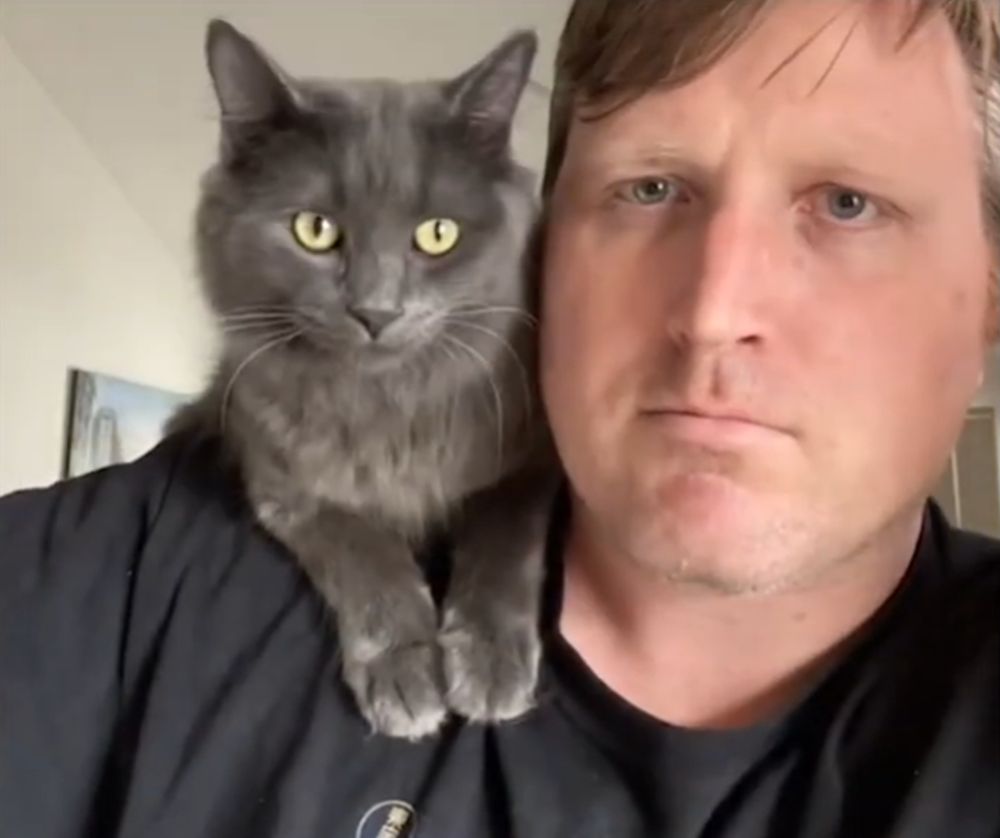 Learning to Talk to Cats