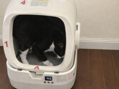 Mintakawa Automatic Litter Box