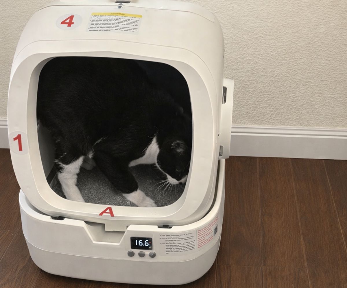 Mintakawa Automatic Litter Box