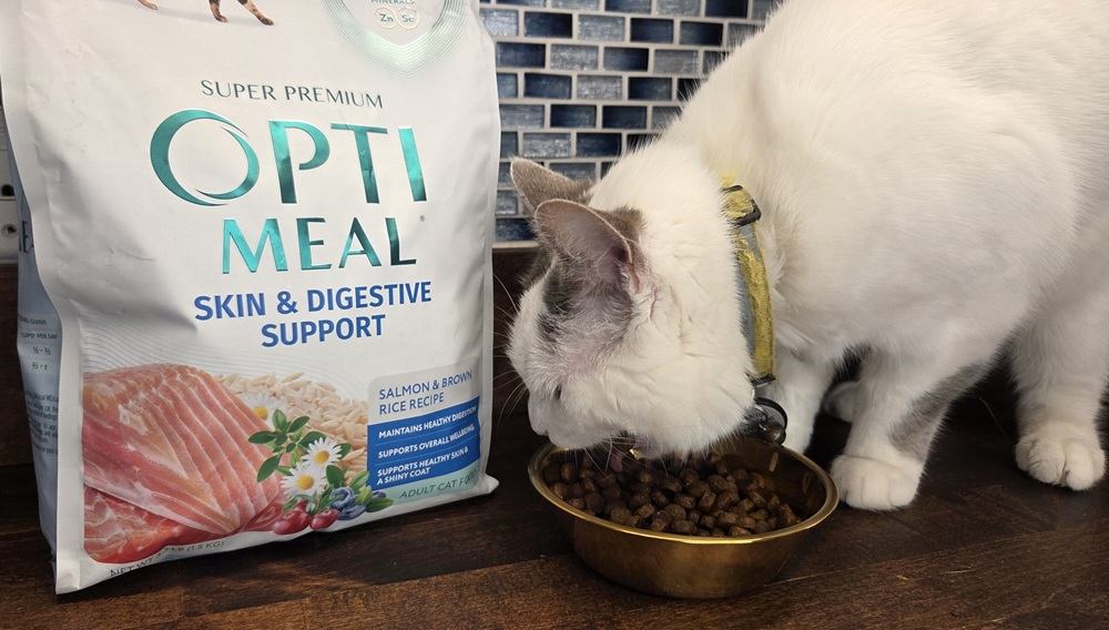 Optimeal Skin & Digestive Support Salmon & Brown Rice Recipe Dry Cat Food