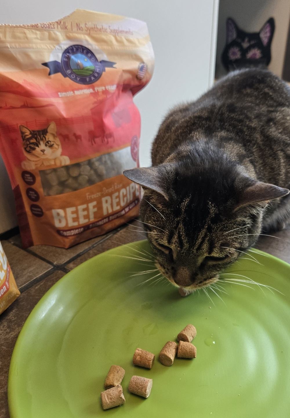Shepherd Boy Farms Freeze‑Dried Beef Recipe