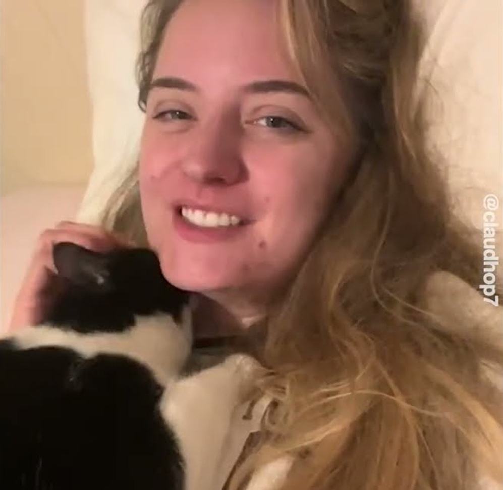 Tiny Kitten