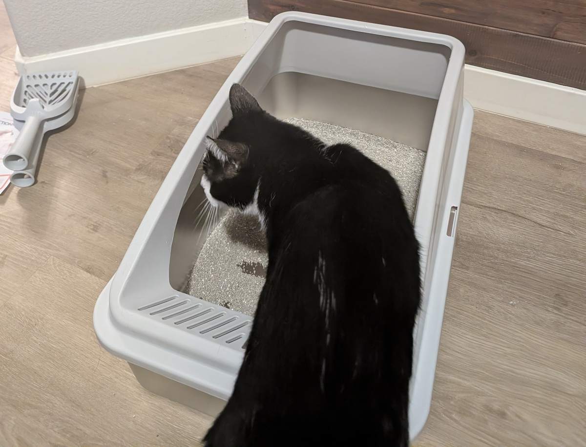 AIPERRO Stainless Steel Litter Box