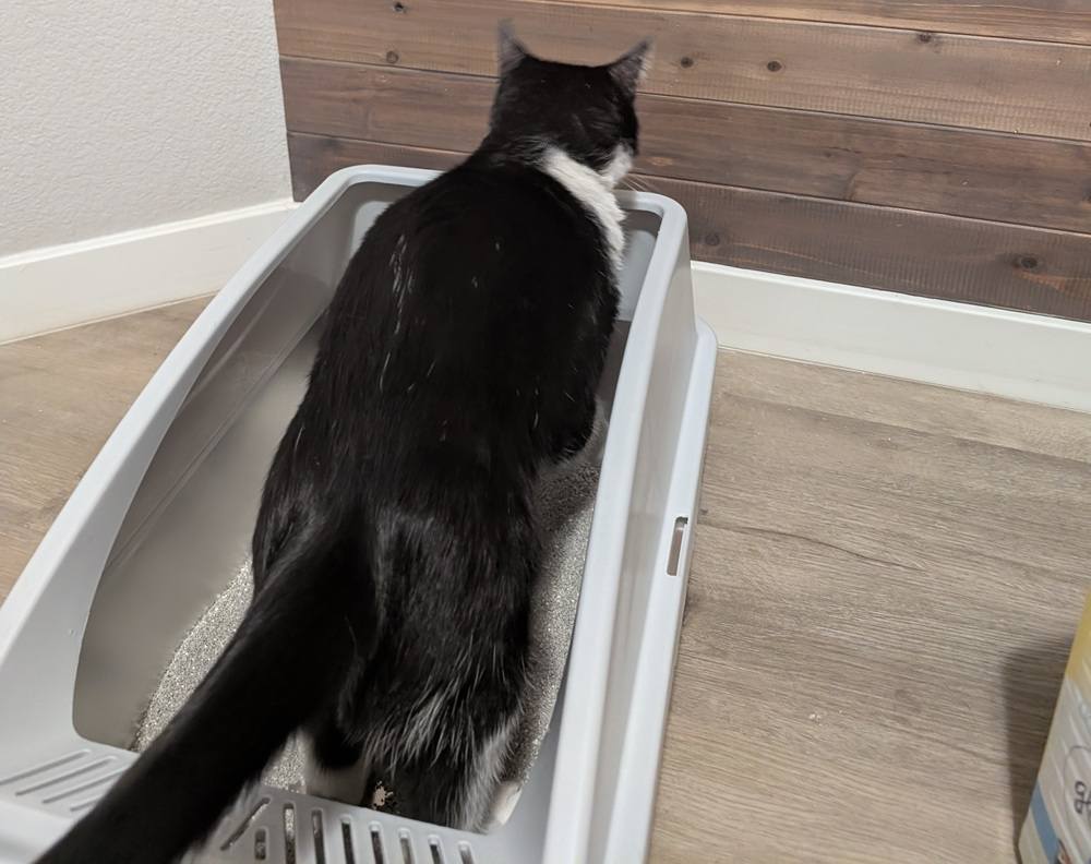 AIPERRO XL Stainless Steel Litter Box.