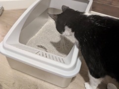AIPERRO XL Stainless Steel Litter Box