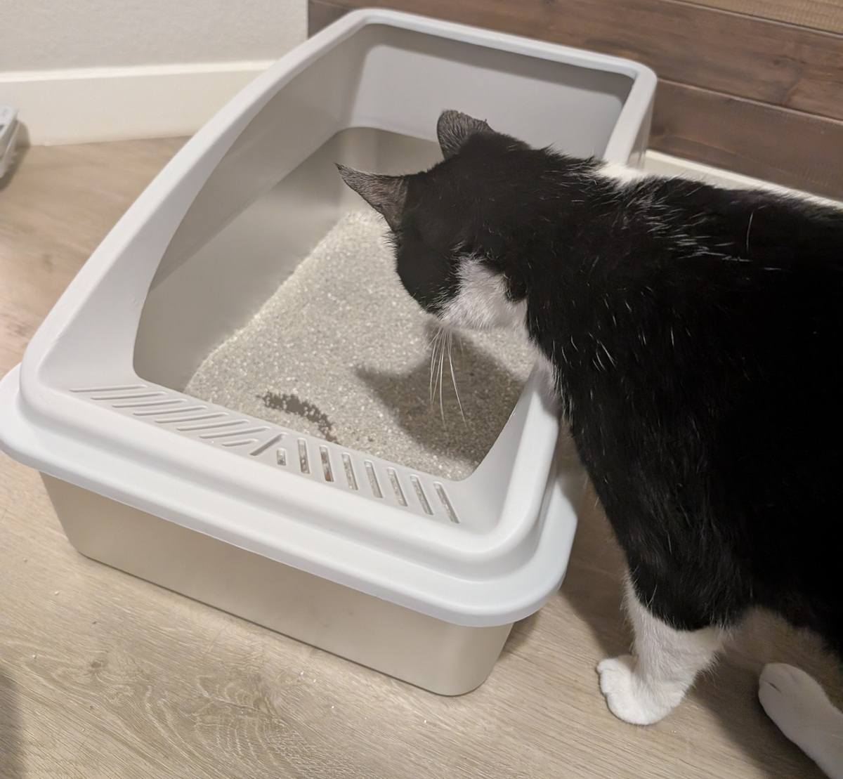 AIPERRO XL Stainless Steel Litter Box