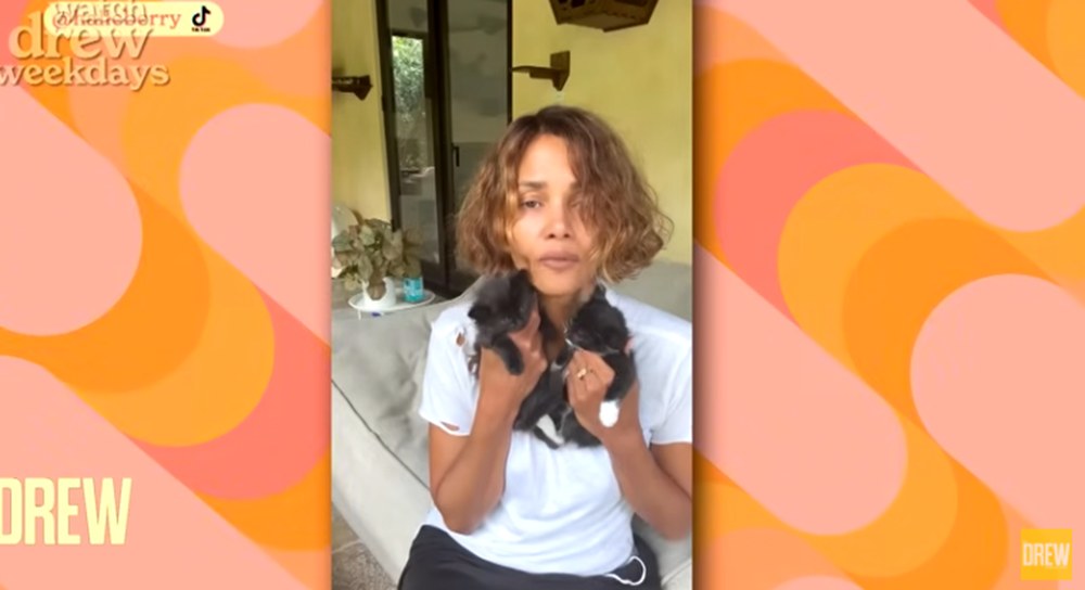 Actress Halle Berry