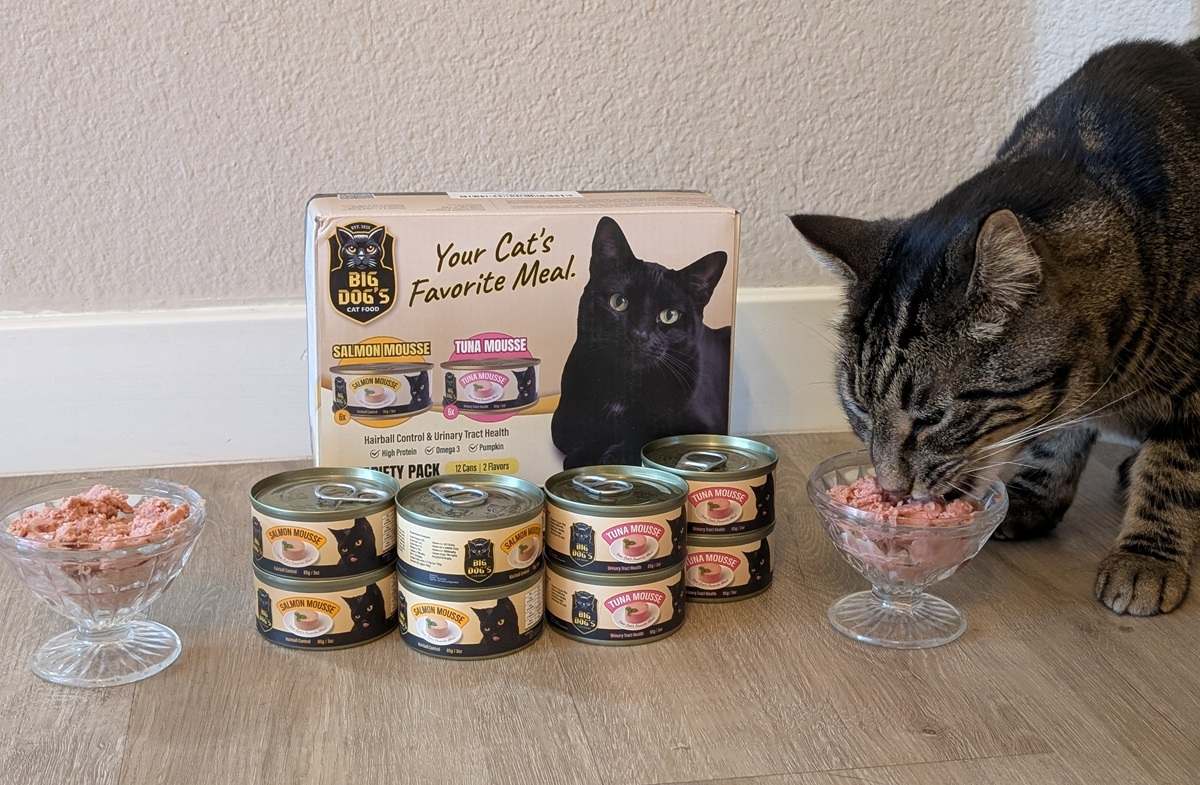 Big Dog’s Cat Food
