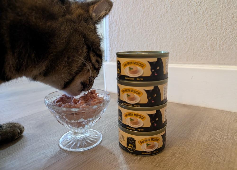 BIG DOG’S Salmon Mousse Wet Cat Food