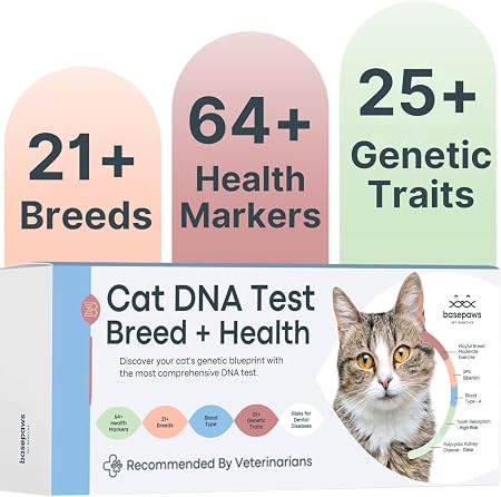 Basepaws Breed + Health Cat DNA Test