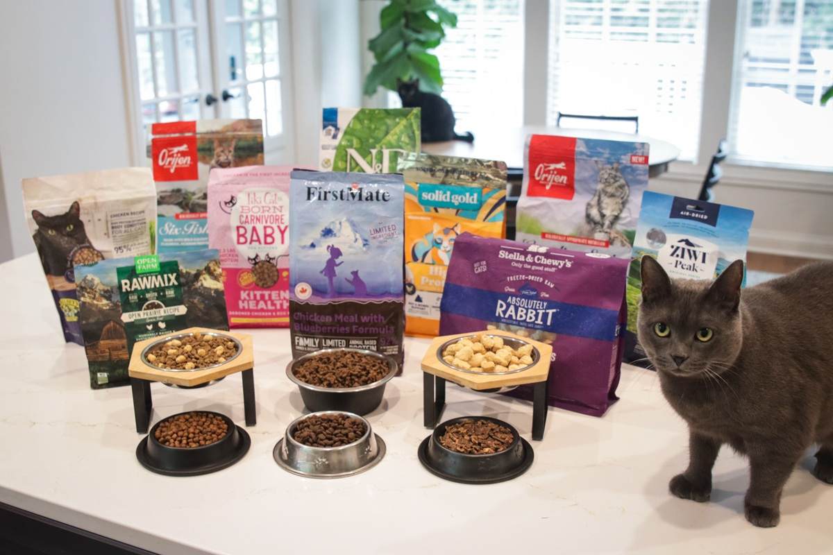 Best Dry Cat Foods of 2026