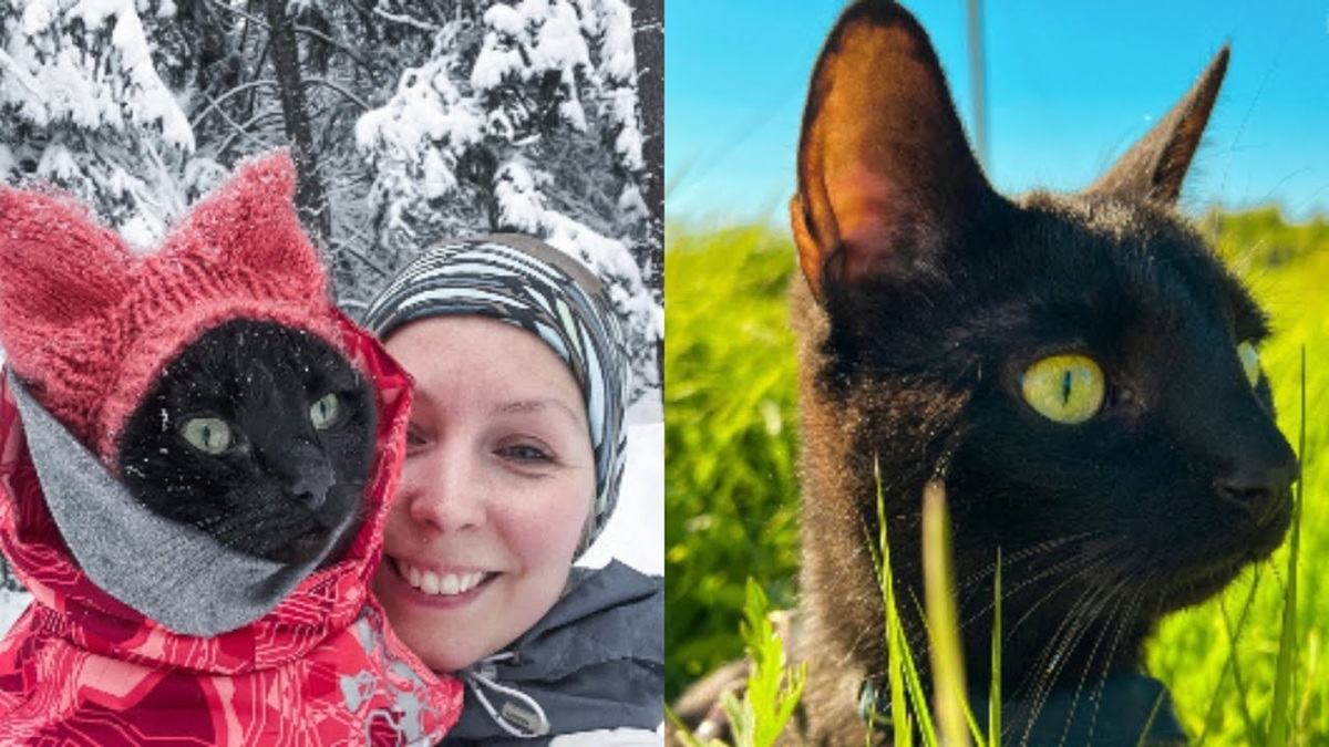 Cat Inspires Mom To Go On Brave Adventures!