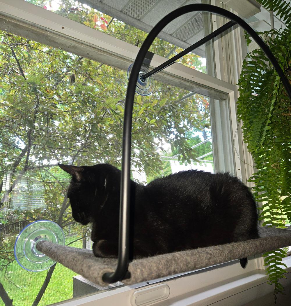 Cloud Nine Window Hammock