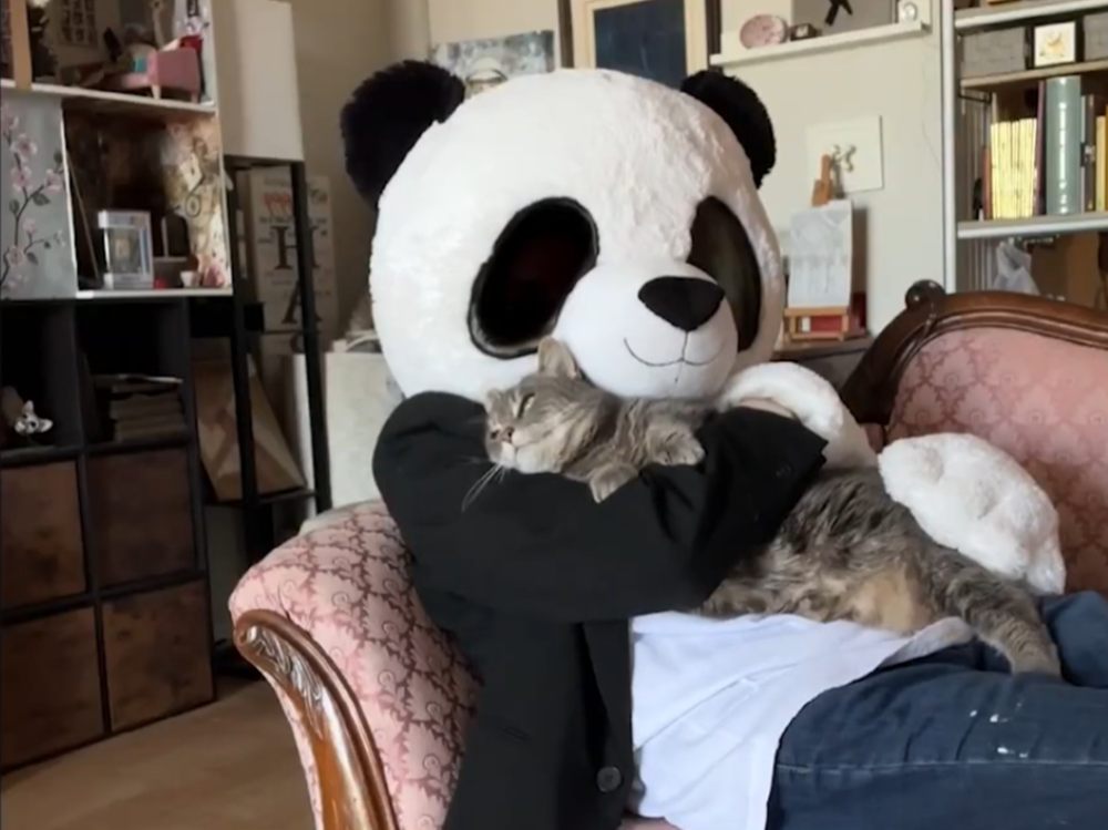 Falling in Love With the Panda Costume