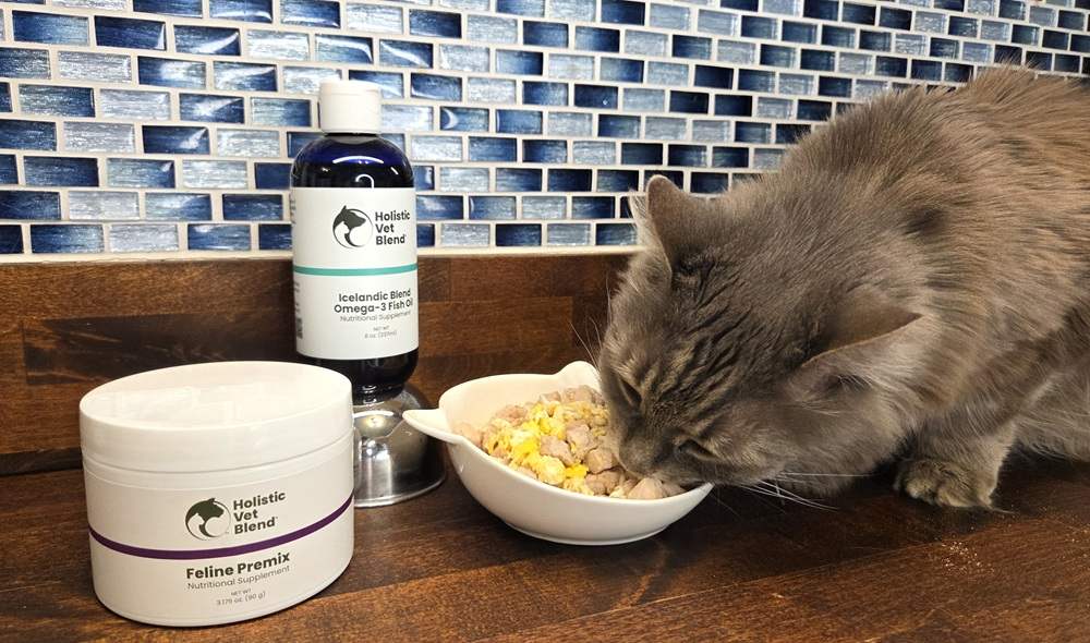 Holistic Vet Blend Feline Premix