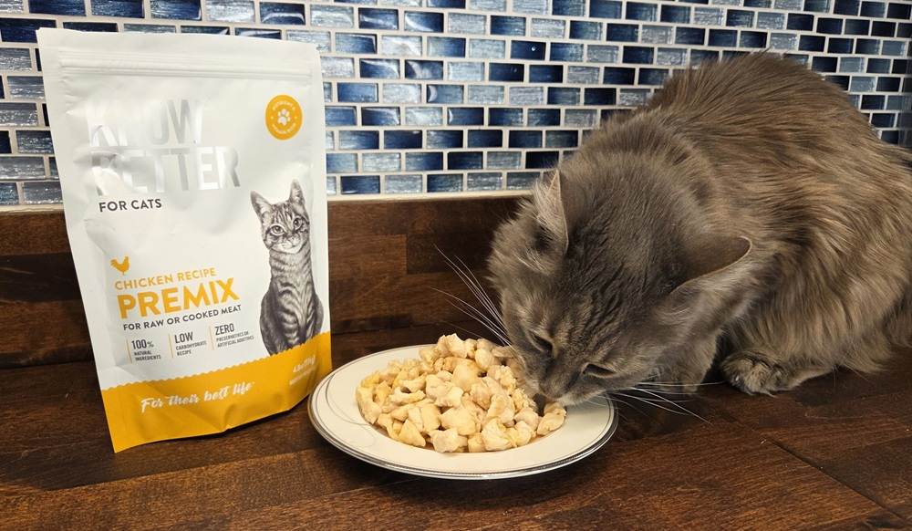 Know Better for Cats Chicken Recipe
