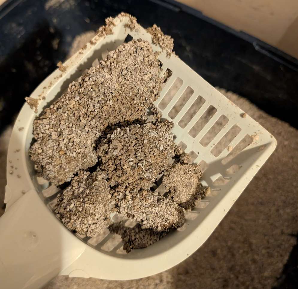 Litter Genie Light Clumping Litter.