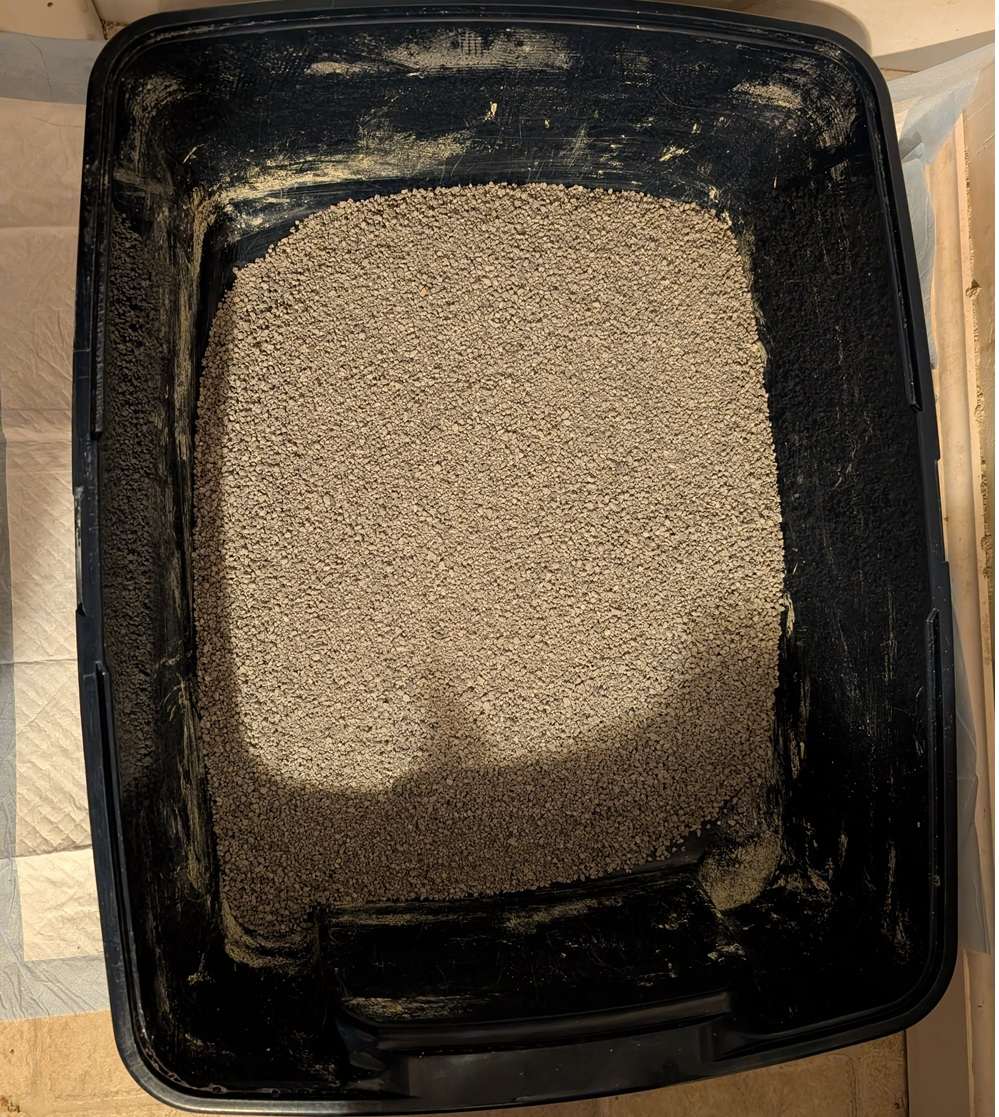 Litter Genie Light Clumping Litter..
