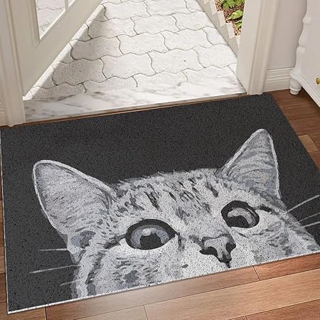 MR FANTASY Cat Door Welcome Mat