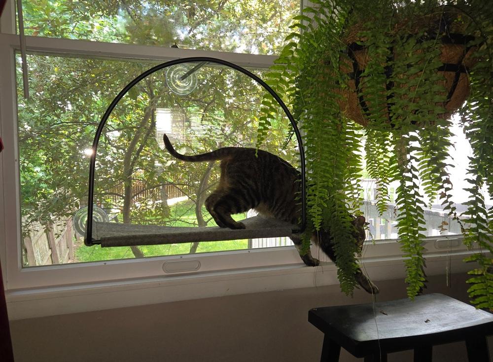 Tuft & Paw Cloud Nine Window Hammock Safe