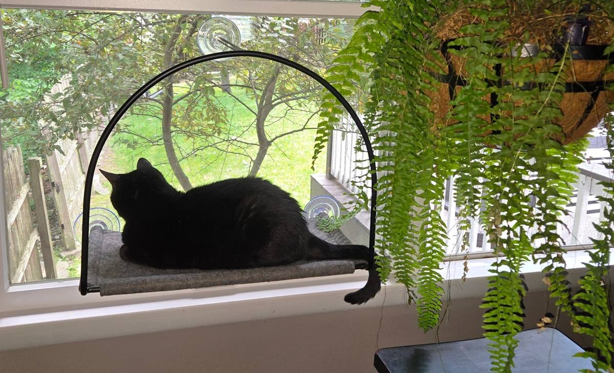 Tuft & Paw Cloud Nine Window Hammock