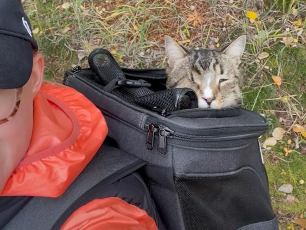 popeye is Exploring the Mountains