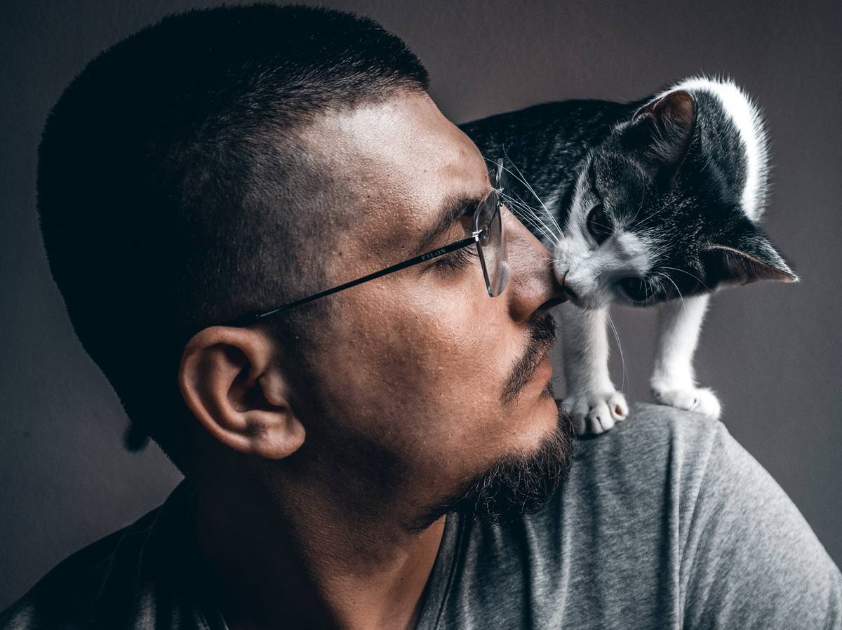 Do Cats Mirror Their Owner’s Emotions