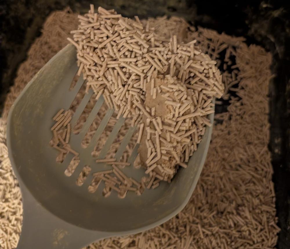 Dofu Cereal Cat Litter