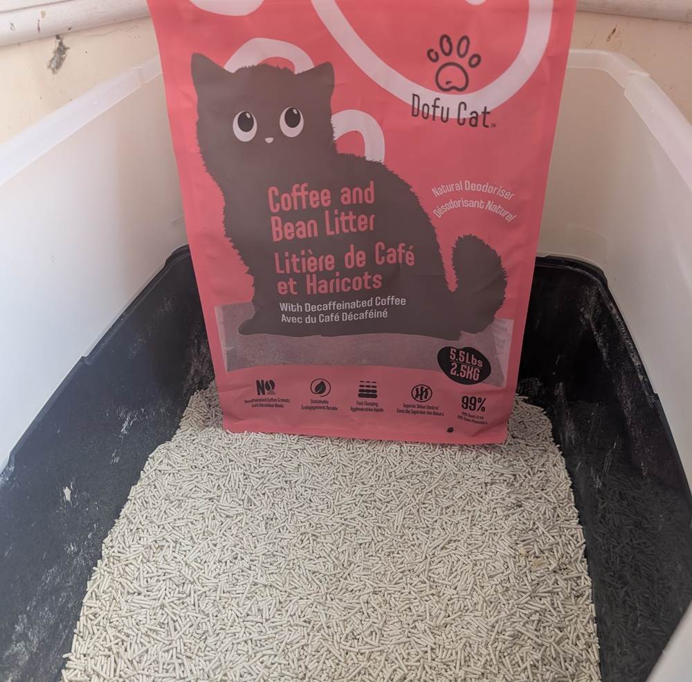 Dofu Coffee and Bean Litter