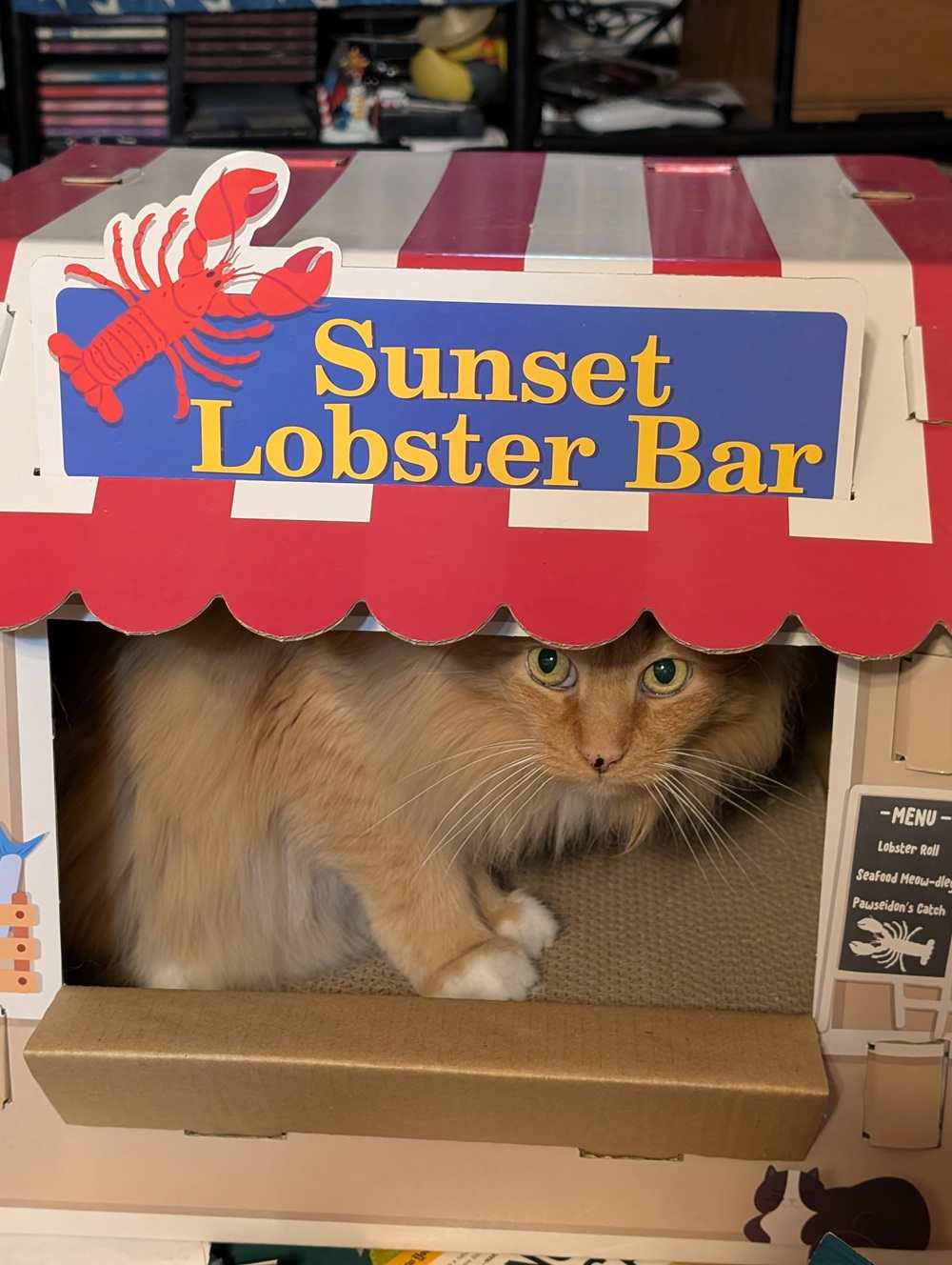 Frisco Coastal Lobster Restaurant Kartonnen kattenhuis met kattenkruid