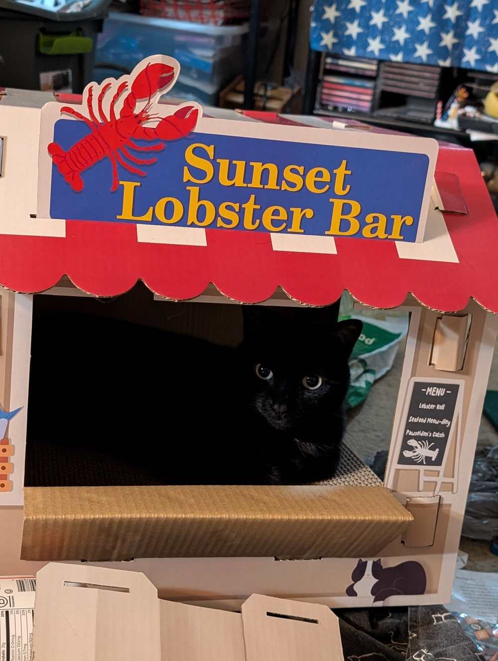 Frisco Coastal Lobster Restaurant Kartonnen kattenhuis met kattenkruid