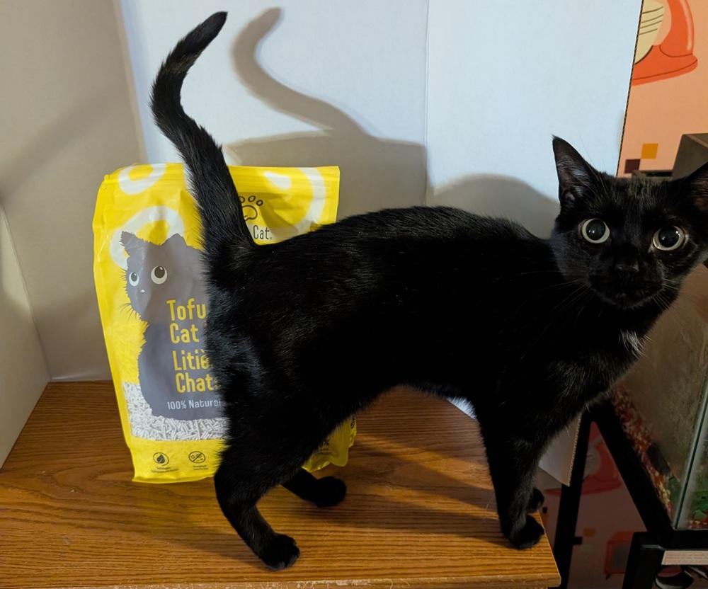 Tofu Cat Litter