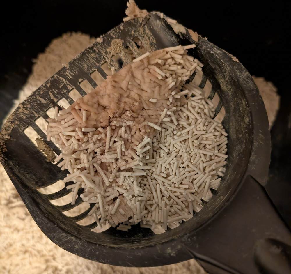 Tofu Cat Litter