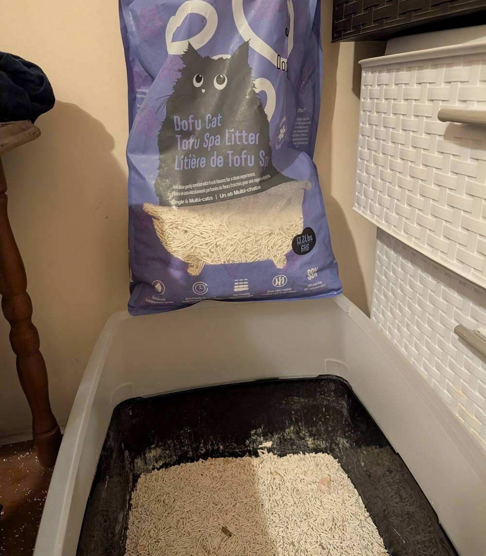 Tofu Spa Litter - Botanicals in Bloom